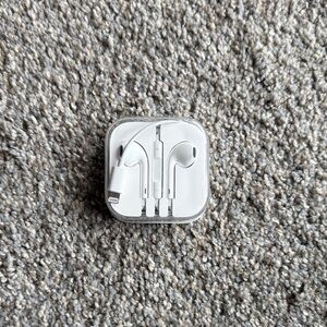 Apple earbuds *lightning